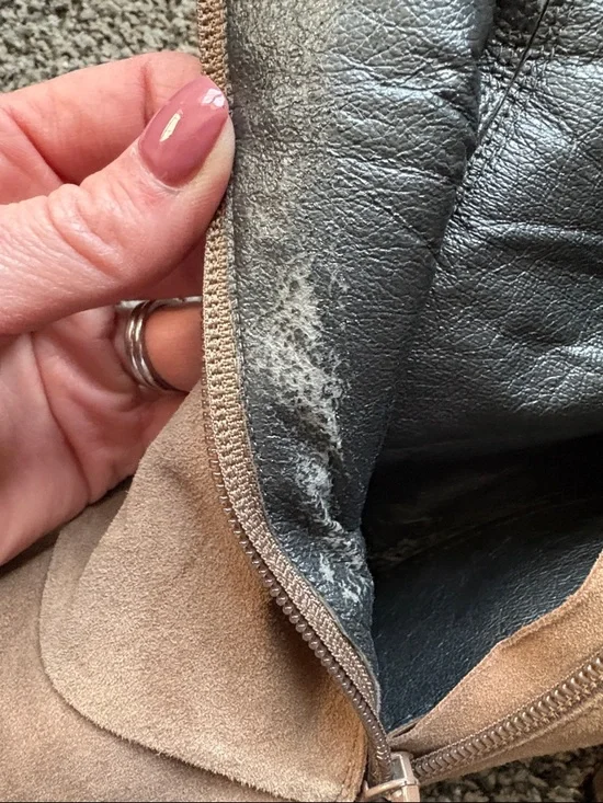 Aldo Taupe Bow Suede Ankle Booties - Picture 9 of 10